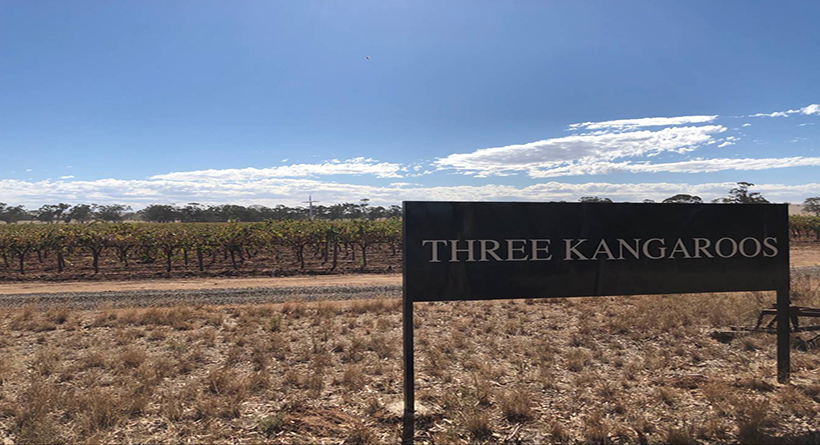 Three Kangaroos Wines